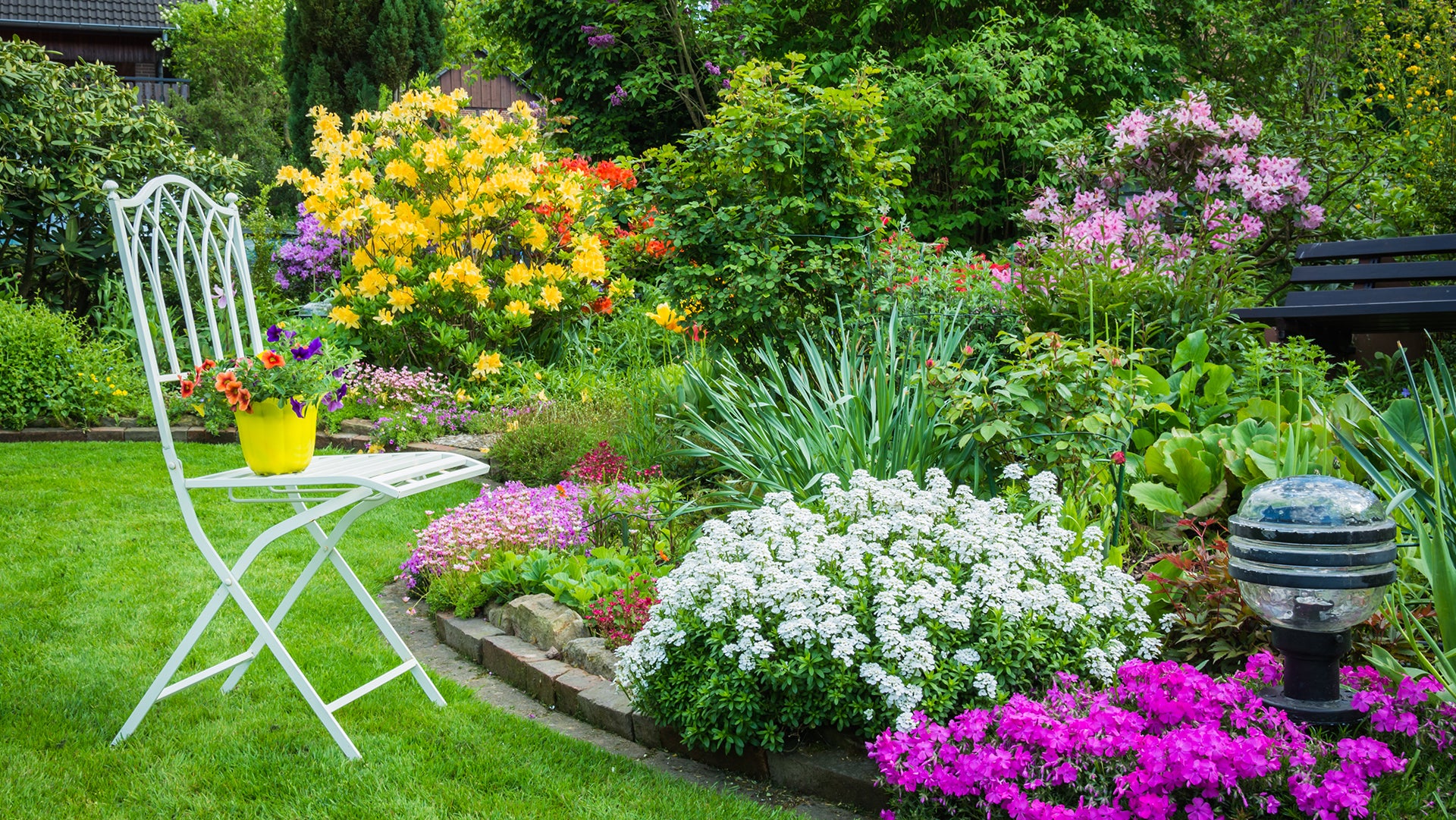 Attractive flower show
