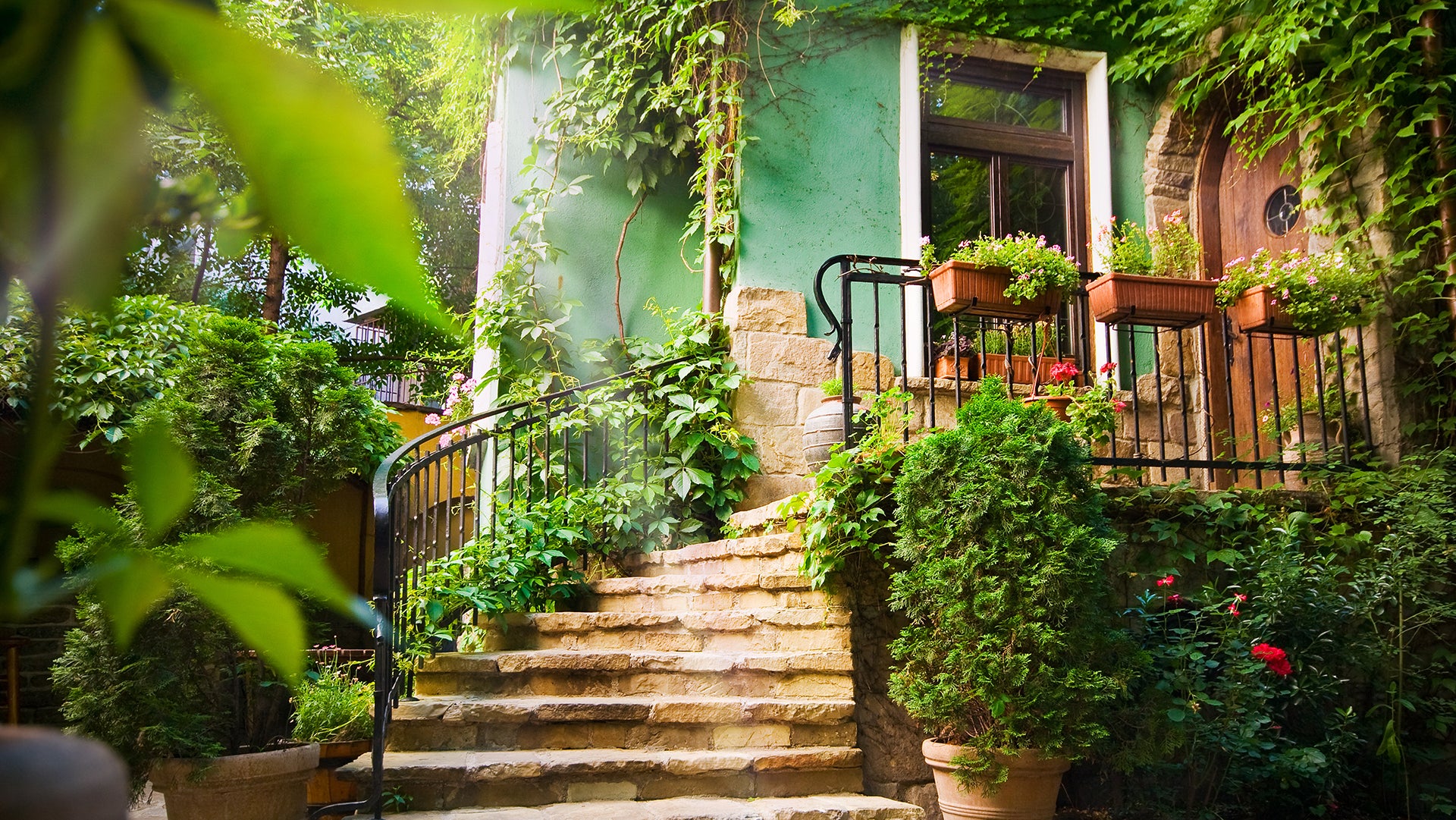The outdoor green garden