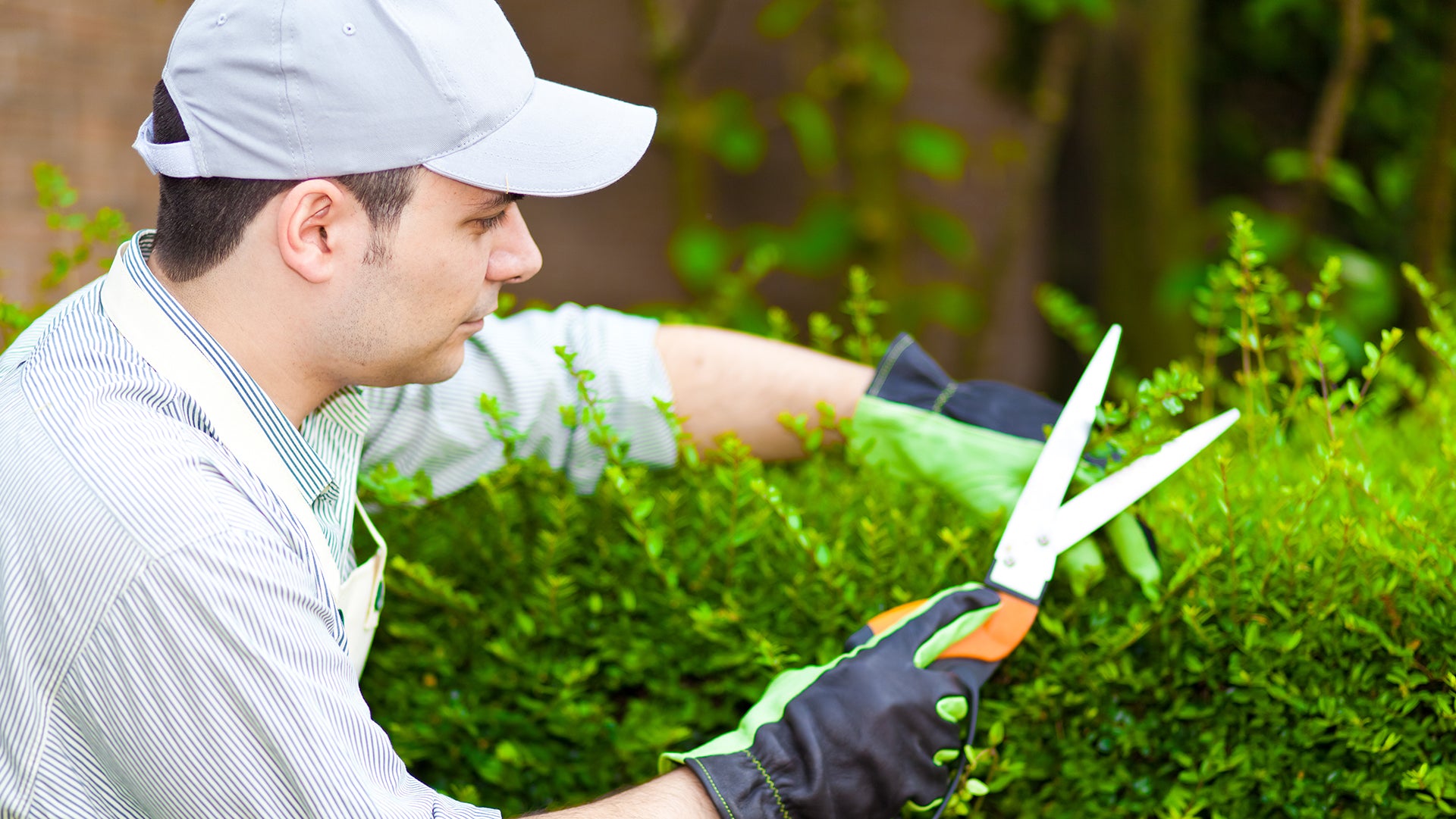 The man decorating plant by cutting