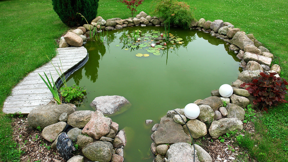 Little pond in garden